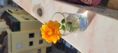 Enlarge photo 507