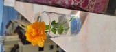 Enlarge photo 506