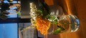 Enlarge photo 645
