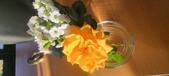 Enlarge photo 652