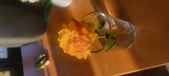 Enlarge photo 642