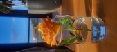 Enlarge photo 647