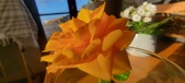 Enlarge photo 650