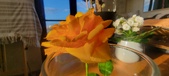 Enlarge photo 651