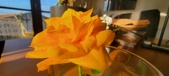 Enlarge photo 639