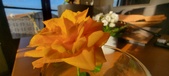 Enlarge photo 638