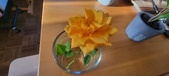 Enlarge photo 637