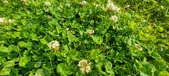 Enlarge photo 631