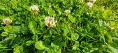 Enlarge photo 632