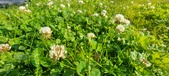 Enlarge photo 633