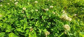 Enlarge photo 634