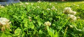 Enlarge photo 635