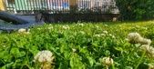 Enlarge photo 636