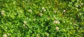 Enlarge photo 628