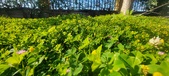 Enlarge photo 619