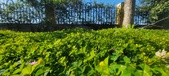 Enlarge photo 620