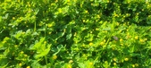 Enlarge photo 627