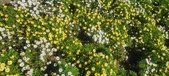Enlarge photo 612