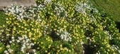 Enlarge photo 613