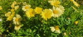 Enlarge photo 614
