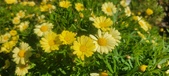 Enlarge photo 615
