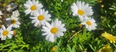 Enlarge photo 611