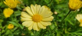 Enlarge photo 608