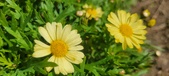 Enlarge photo 605