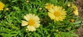 Enlarge photo 604