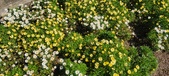 Enlarge photo 600