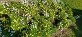 Enlarge photo 599