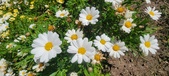 Enlarge photo 592