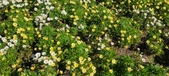 Enlarge photo 586