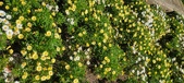 Enlarge photo 584