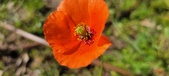 Enlarge photo 580