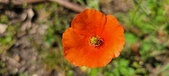 Enlarge photo 579