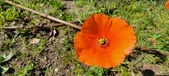 Enlarge photo 578