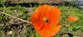 Enlarge photo 577