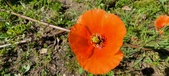 Enlarge photo 576