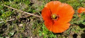Enlarge photo 574