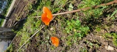 Enlarge photo 573