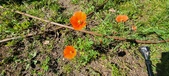 Enlarge photo 572