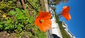 Enlarge photo 571
