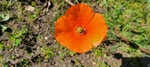 Enlarge photo 569