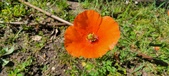 Enlarge photo 568