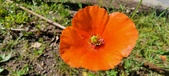 Enlarge photo 567