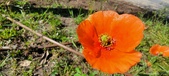 Enlarge photo 566