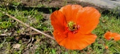 Enlarge photo 565