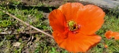 Enlarge photo 564