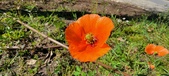 Enlarge photo 563